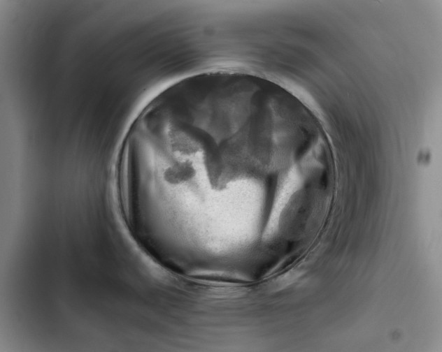 X0000102501440200808221743