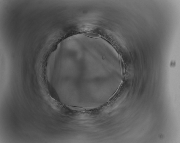 X0000102501441200808221743