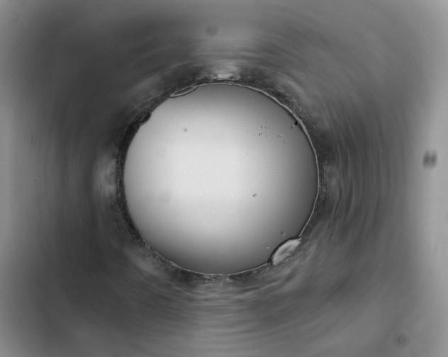 X0000102501442200808221743