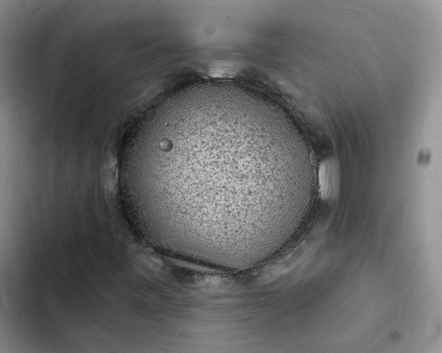 X0000102501443200808221743