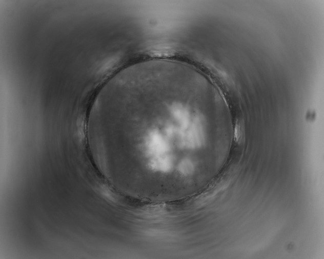 X0000102501444200808221743