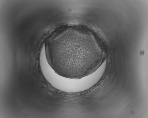 X0000102501445200808221743