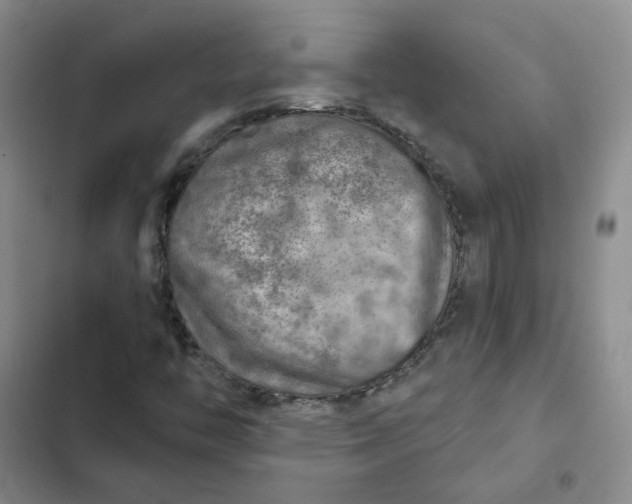 X0000102501446200808221743