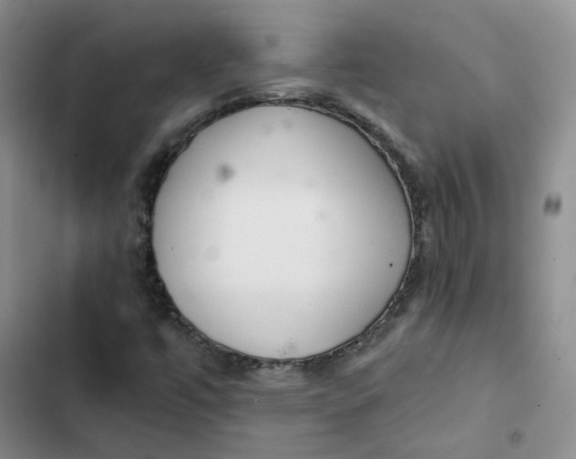 X0000102501447200808221743