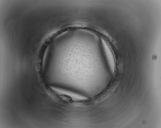 X0000102501448200808221743