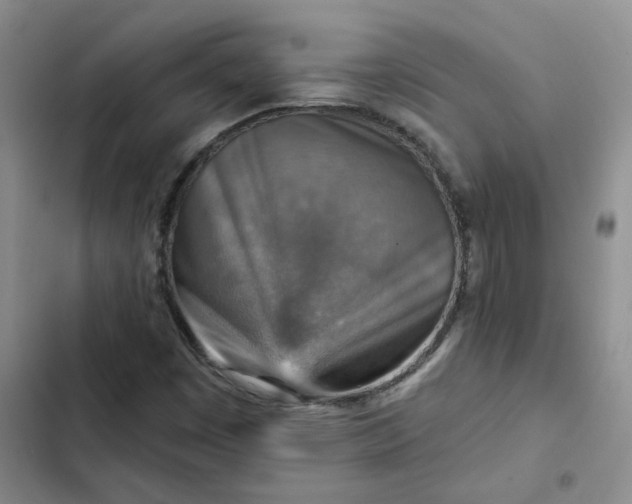 X0000102501449200808221743