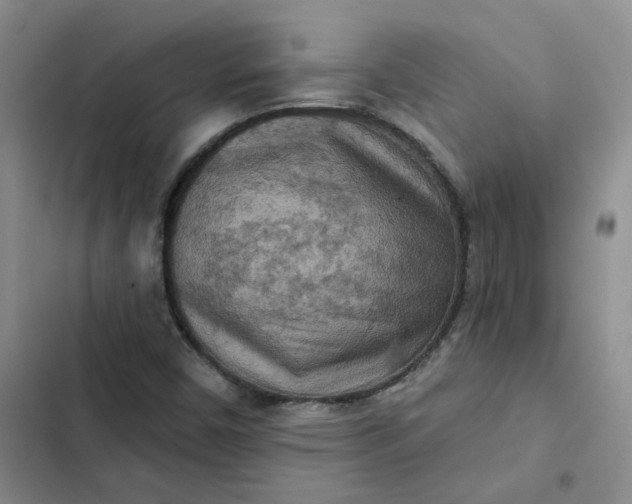 X0000102501450200808221743