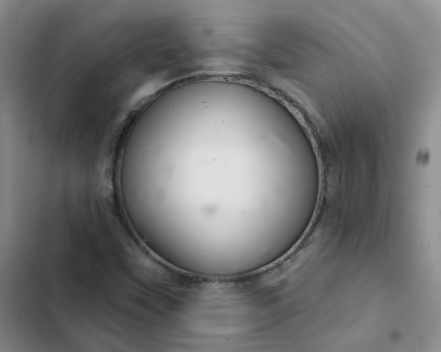 X0000102501451200808221743