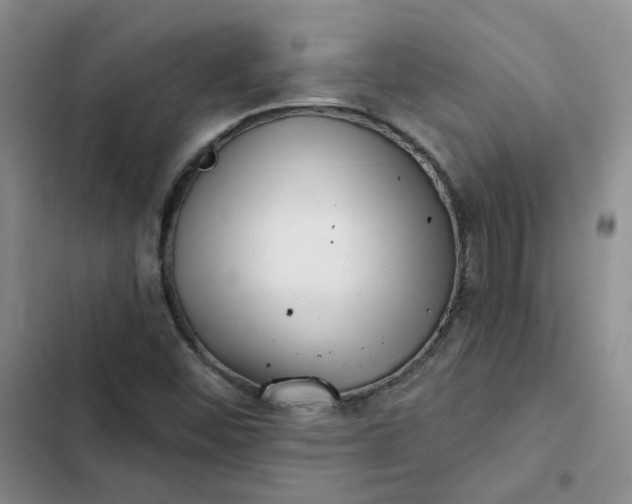 X0000102501452200808221743