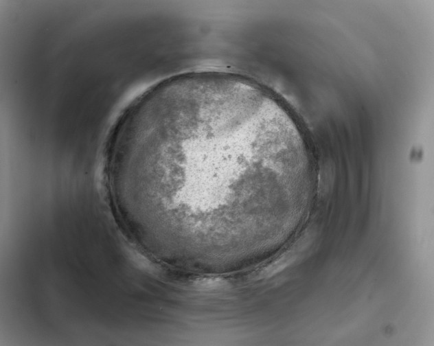 X0000102501454200808221743