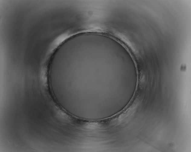 X0000102501455200808221743