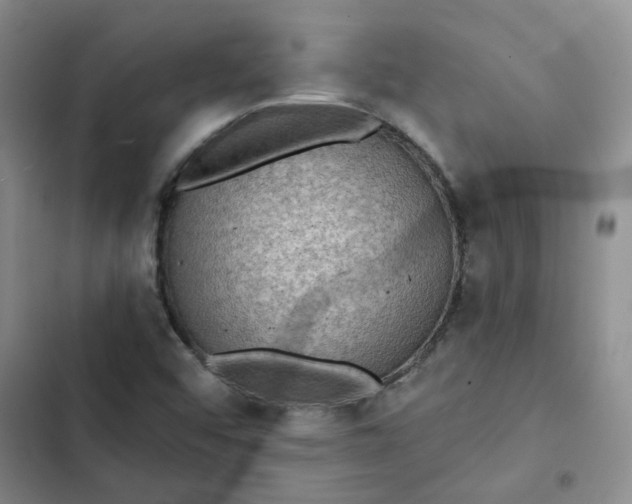 X0000102501456200808221743