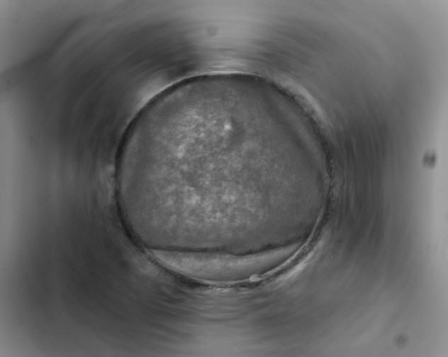 X0000102501457200808221743