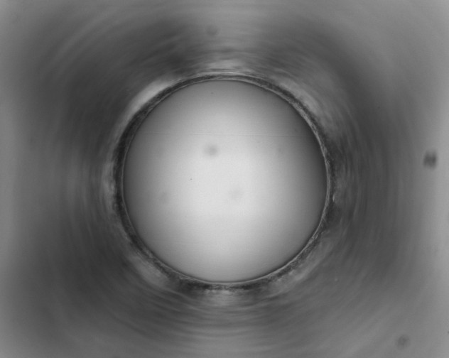 X0000102501458200808221743