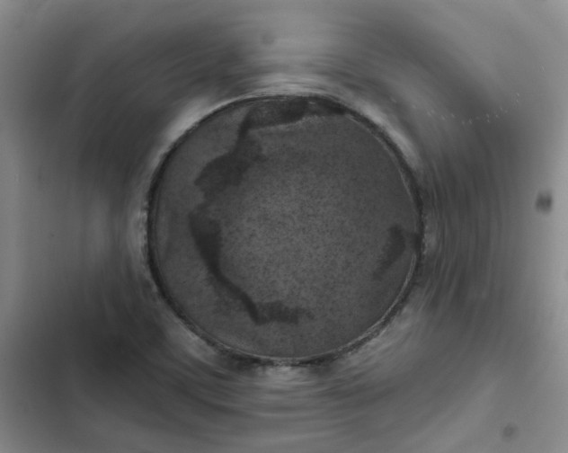 X0000102501459200808221743