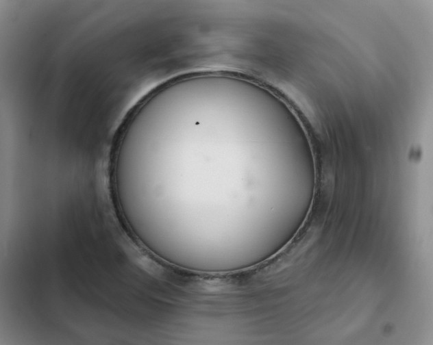 X0000102501460200808221742