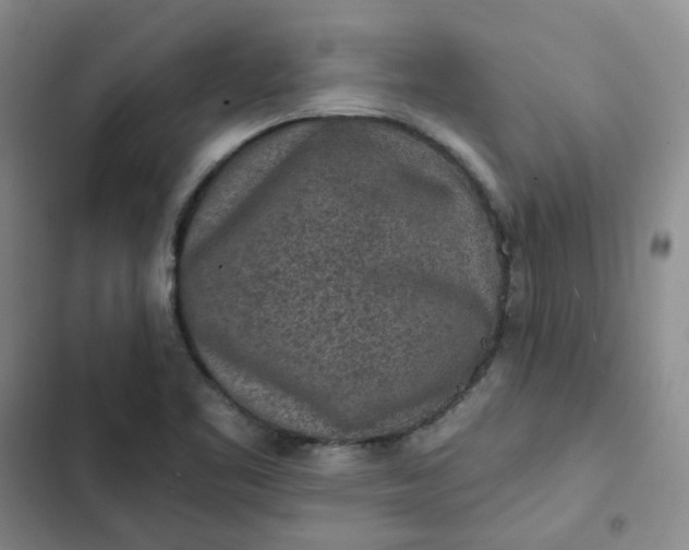 X0000102501461200808221742