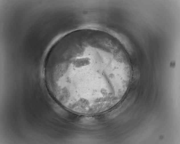 X0000102501462200808221742