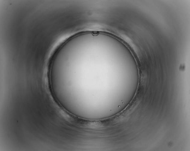 X0000102501464200808221742