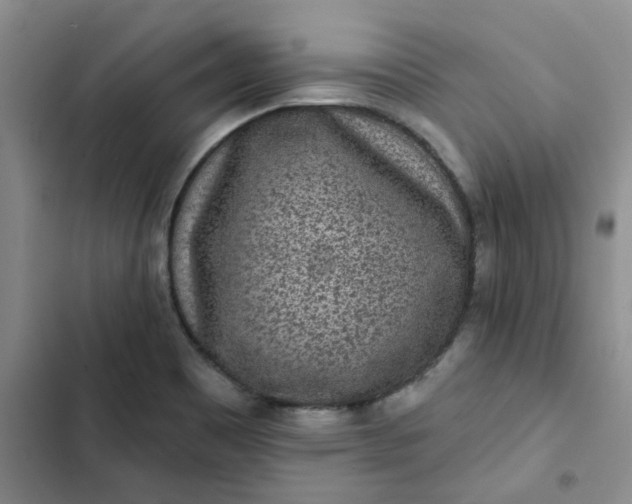 X0000102501465200808221742