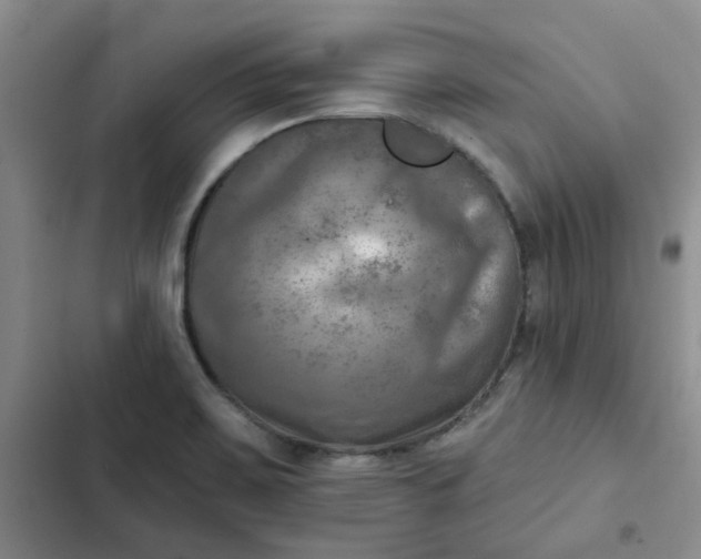 X0000102501467200808221742