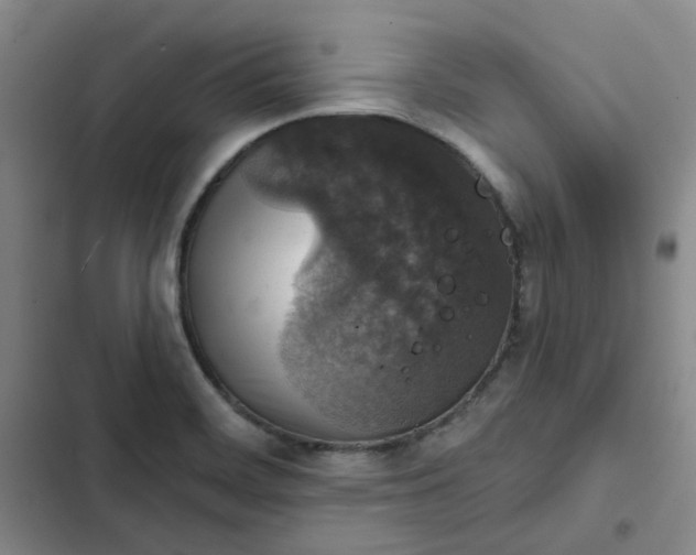 X0000102501468200808221742