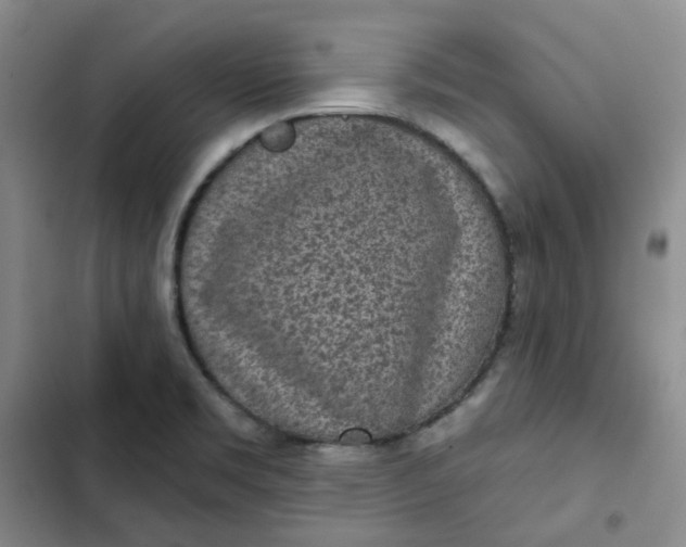 X0000102501469200808221742