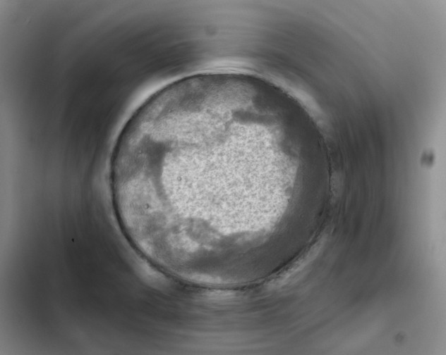 X0000102501470200808221742