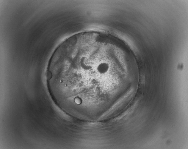 X0000102501471200808221742