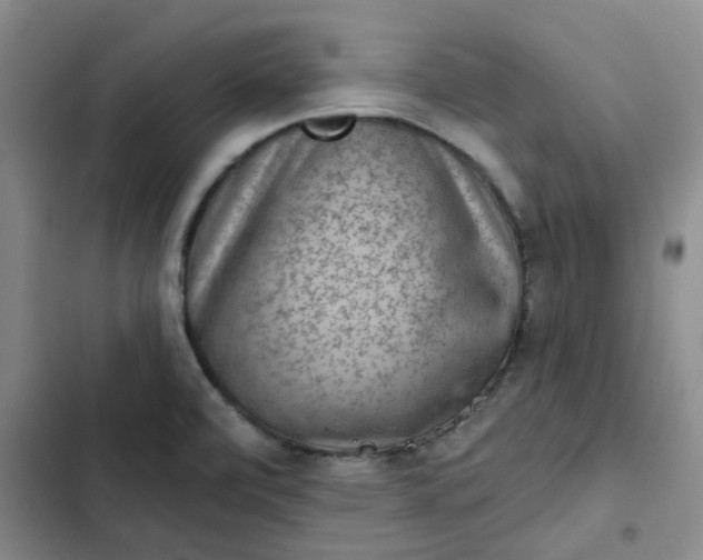 X0000102501472200808221742