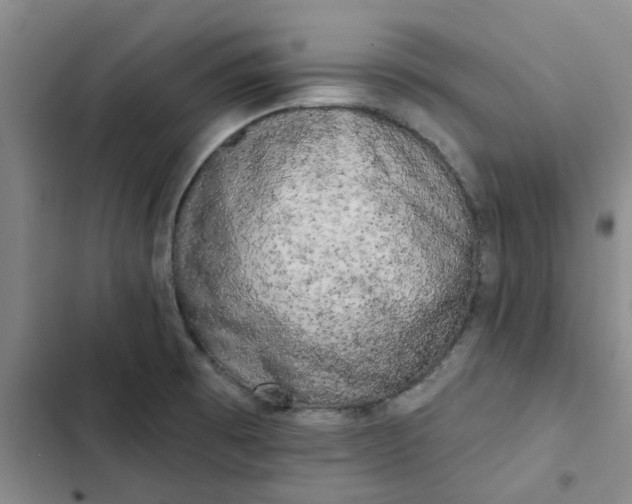 X0000102501473200808221742