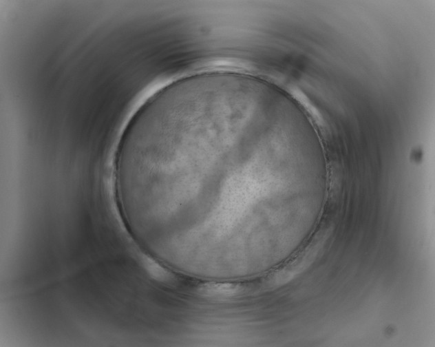 X0000102501474200808221742