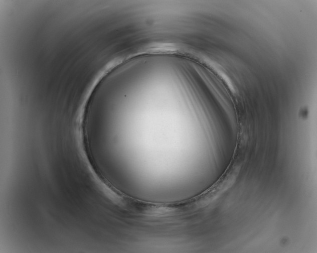 X0000102501475200808221742