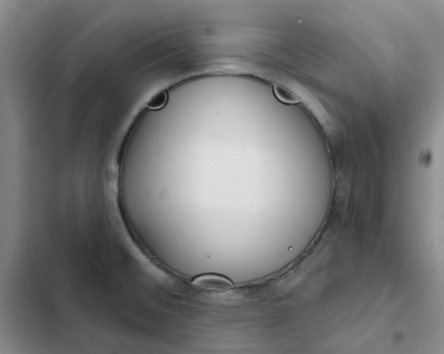 X0000102501476200808221742