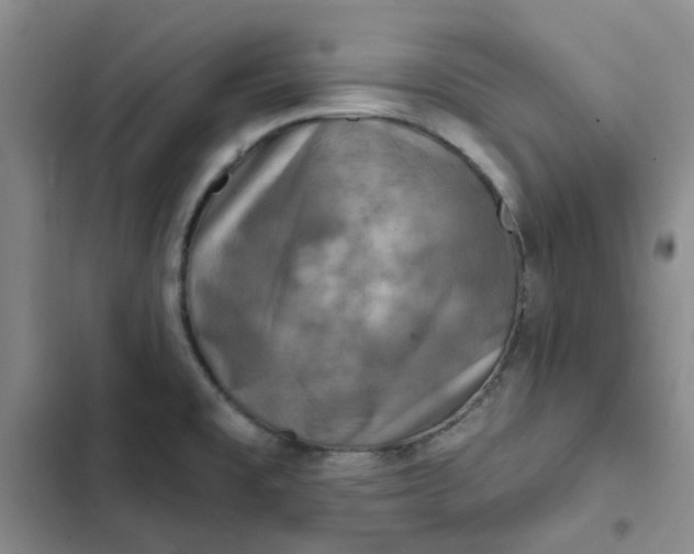 X0000102501477200808221742