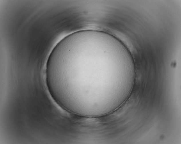 X0000102501479200808221742