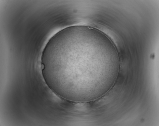 X0000102501480200808221742