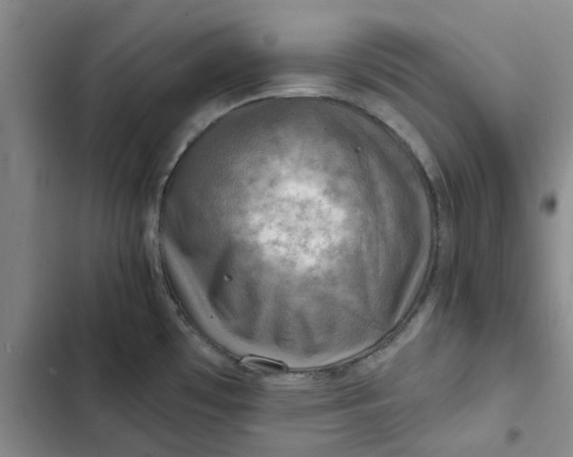 X0000102501481200808221742