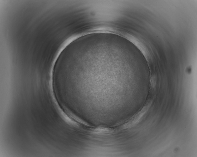 X0000102501482200808221742