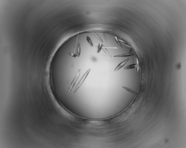 X0000102501483200808221742