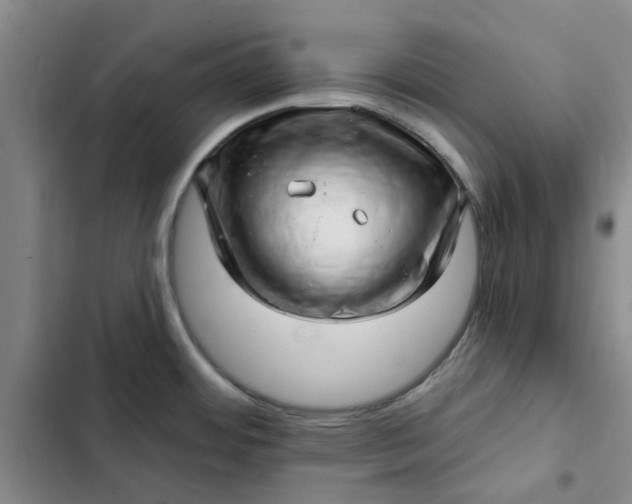 X0000102501484200808221742