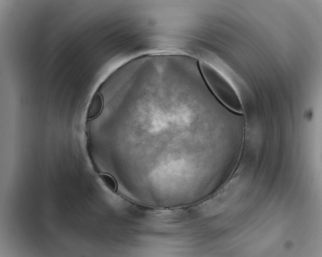 X0000102501485200808221742