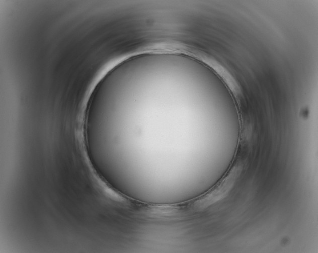 X0000102501486200808221742