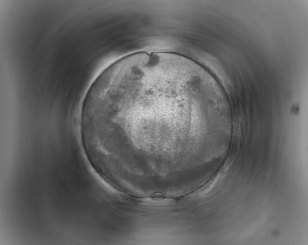 X0000102501487200808221742