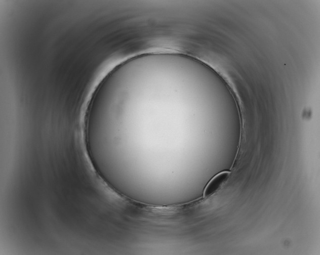 X0000102501488200808221742