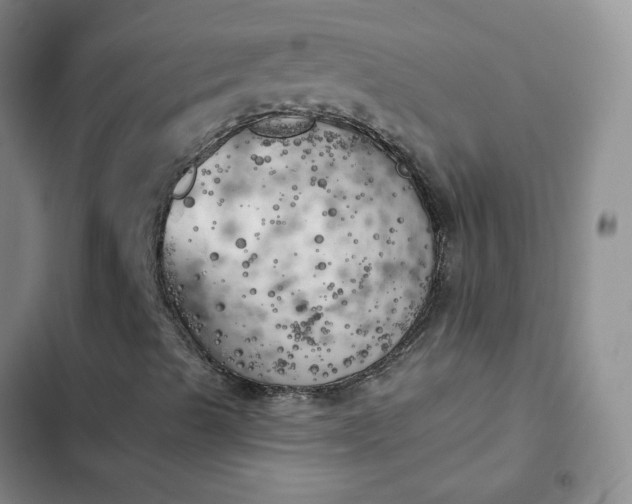 X0000102501489200808221741