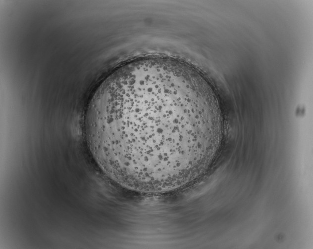 X0000102501490200808221741