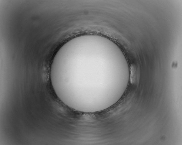 X0000102501491200808221741