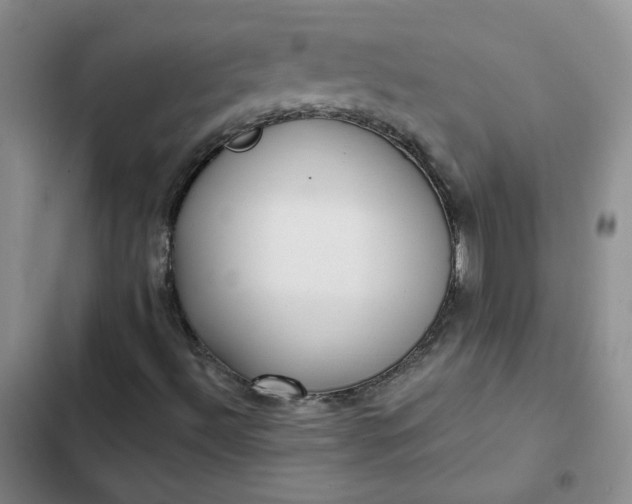 X0000102501492200808221741