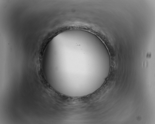 X0000102501493200808221741